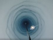 Под километровой толщей антарктических льдов была обнаружена совершенно новая и весьма странная форма жизни