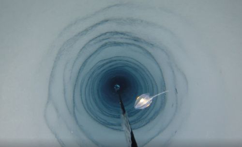 Под километровой толщей антарктических льдов была обнаружена совершенно новая и весьма странная форма жизни