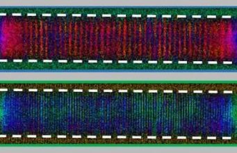 Ученым удалось создать пространственно-временные кристаллы, существующие при комнатной температуре