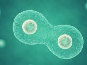 Создан первый синтетический организм, способный расти и делиться, подобно обычной живой клетке