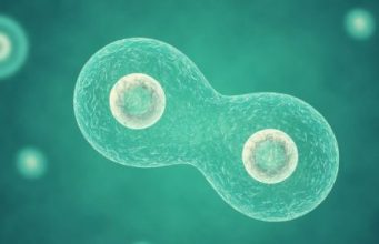 Создан первый синтетический организм, способный расти и делиться, подобно обычной живой клетке