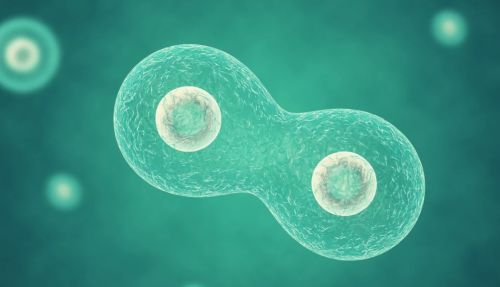 Создан первый синтетический организм, способный расти и делиться, подобно обычной живой клетке