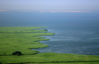 Украинские военные катера провели учебные стрельбы в Азовском море