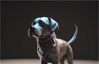 Как выбрать сухой корм для собак